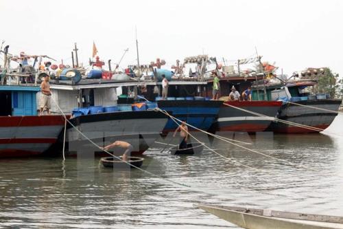 Ứng phó với bão số 16: Kiên quyết di dời người dân ra khỏi khu vực nguy hiểm